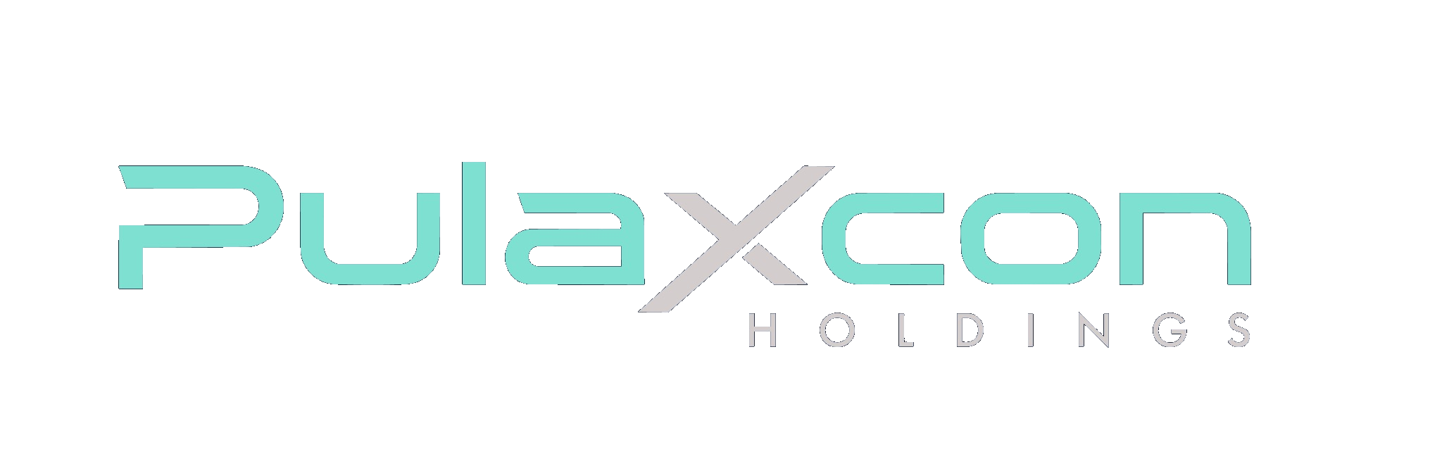 Pulaxcon Holdings