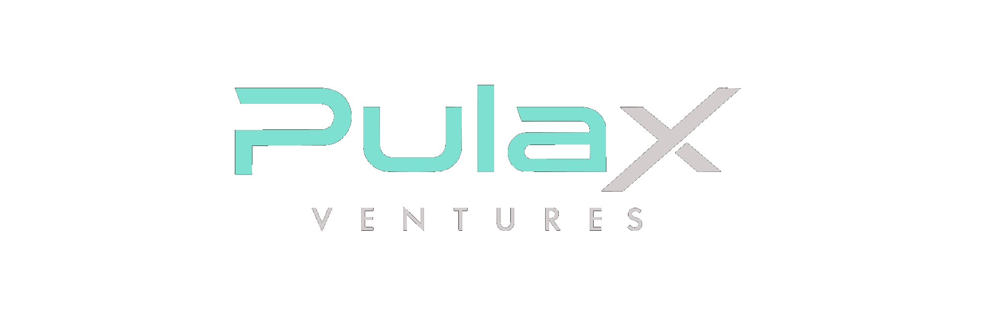PulaX Ventures